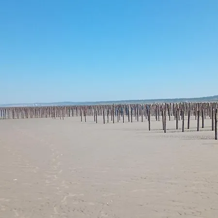 דירה Au Bord Des Dunes