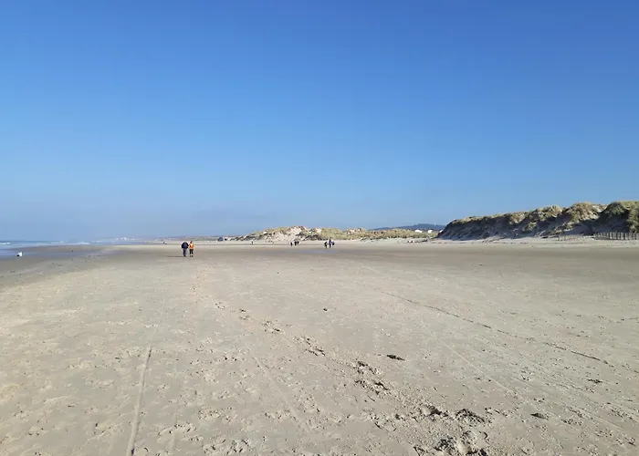 Au Bord Des Dunes