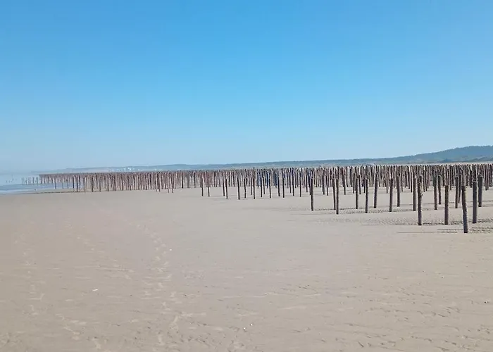 Lägenhet Au Bord Des Dunes
