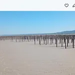 Au Bord Des Dunes كاميير