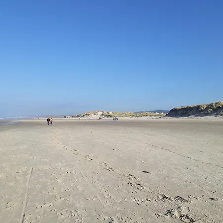 Au Bord Des Dunes