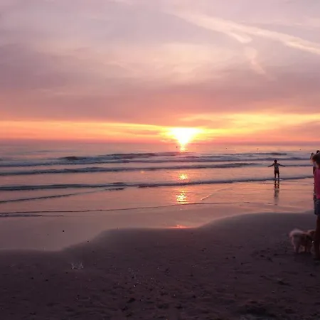 Au Bord Des Dunes 카미에르