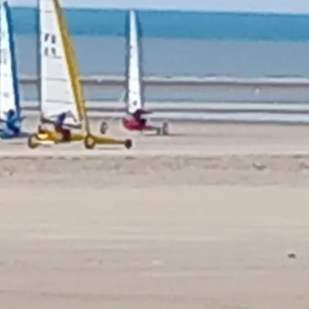 Au Bord Des Dunes * Camiers