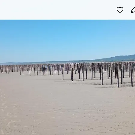 Au Bord Des Dunes Camiers