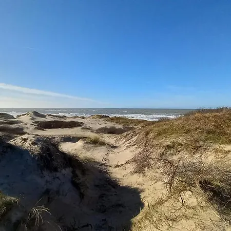 Au Bord Des Dunes