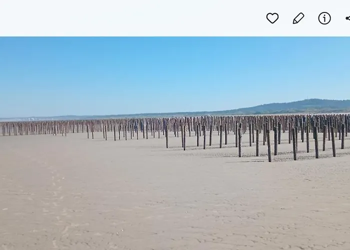 Au Bord Des Dunes Camiers