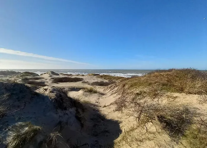 Au Bord Des Dunes